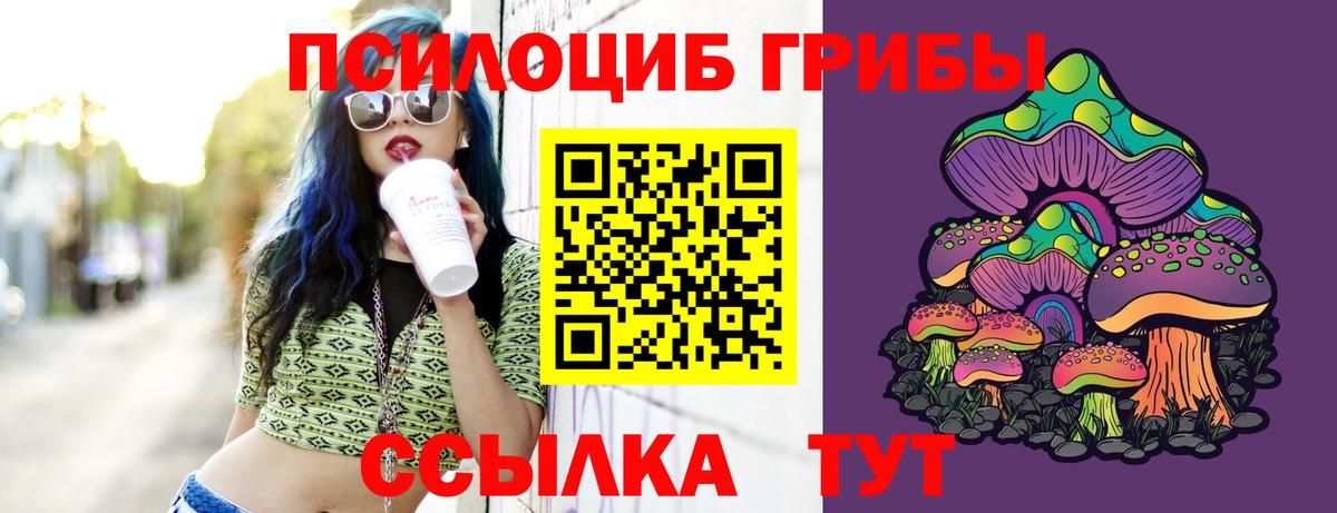 Псилоцибиновые грибы GOLDEN TEACHER  Вход с VPN  купить  цена  Люберцы 
